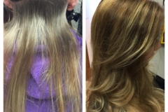 Highlights